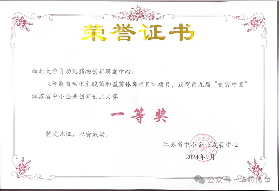 网站 网站