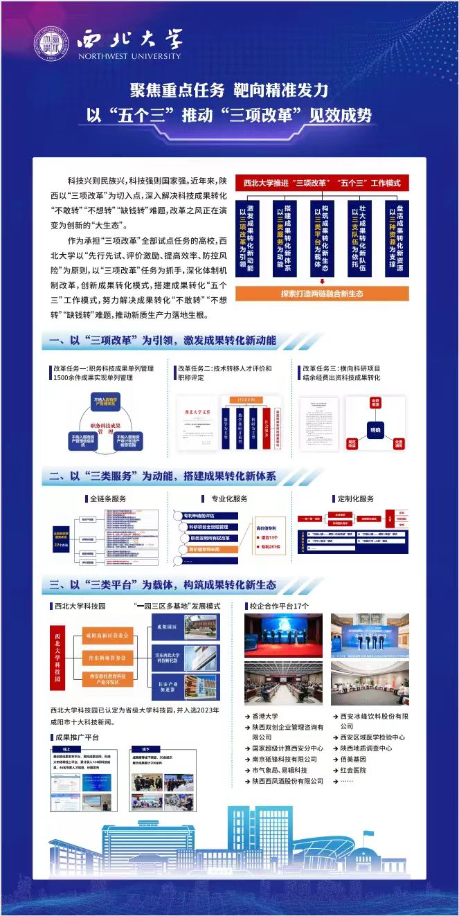 网站 网站