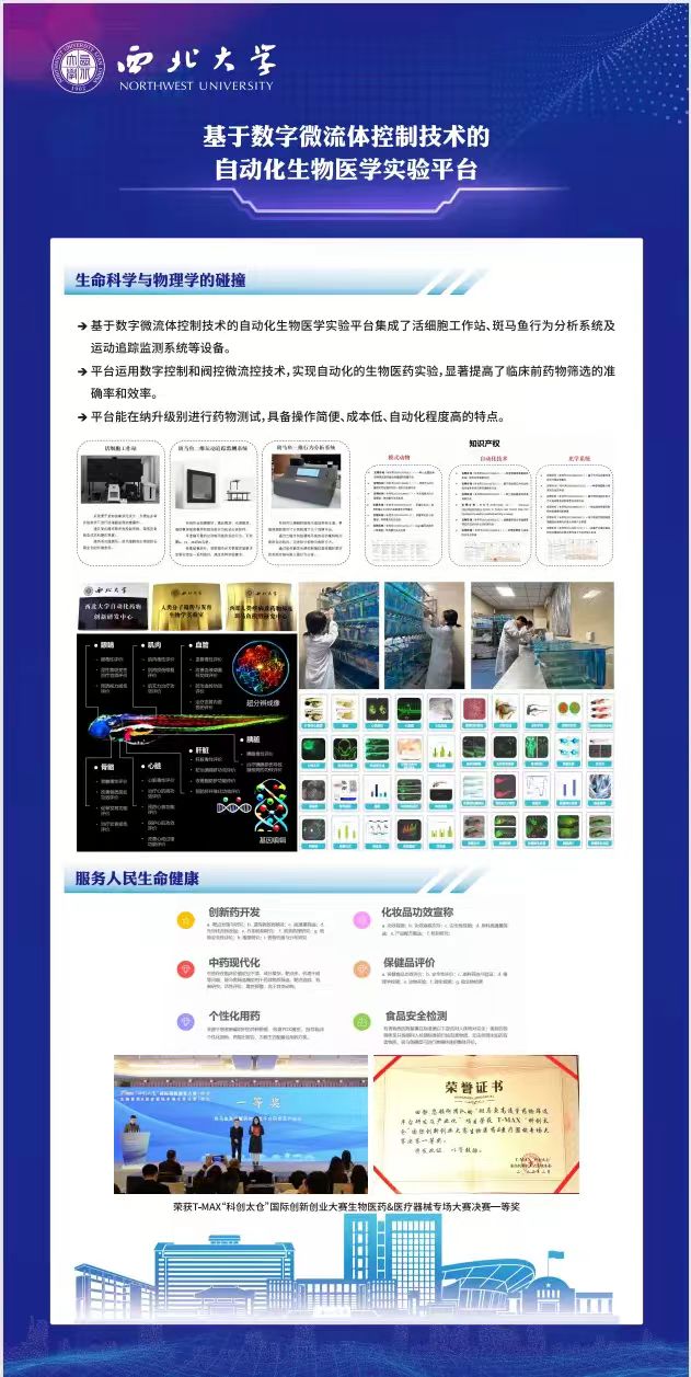 网站 网站