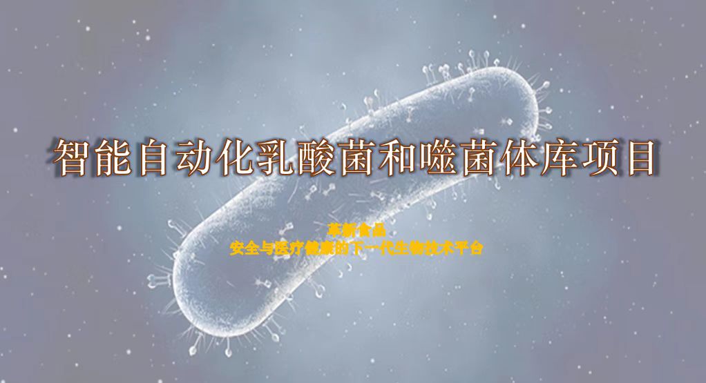 网站 网站