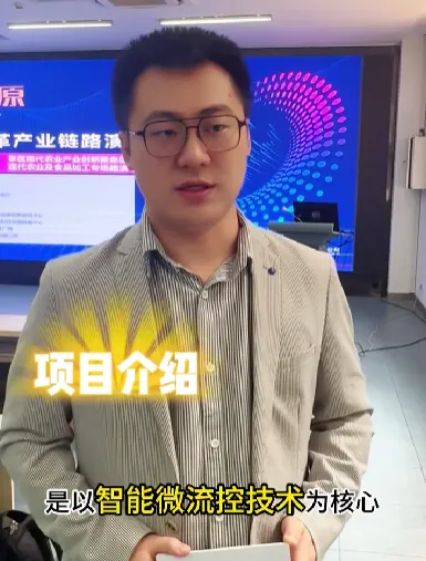 网站 网站