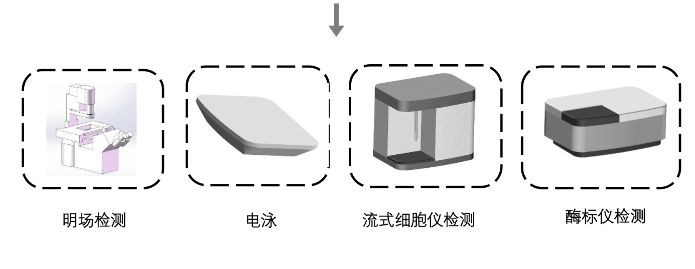 网站