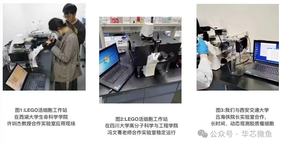 网站 网站