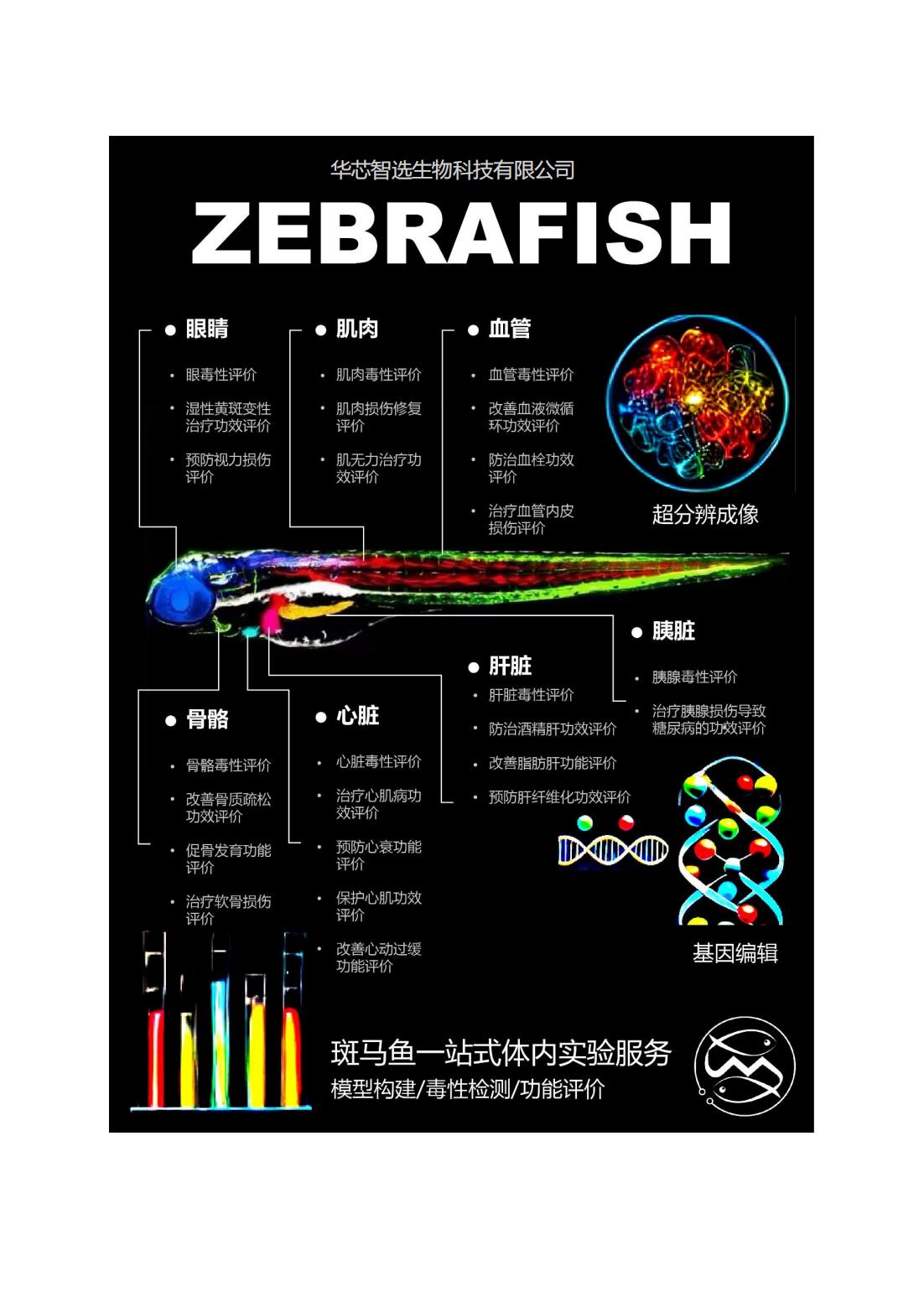 网站 网站