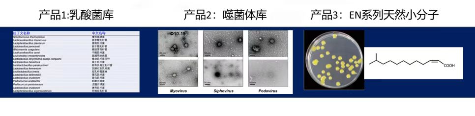 网站 网站