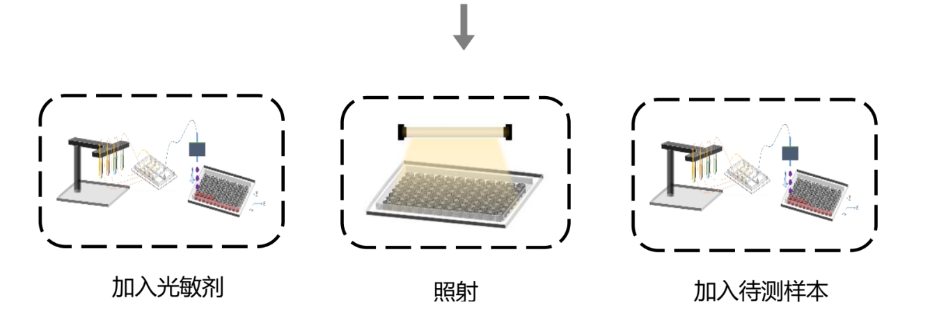 网站