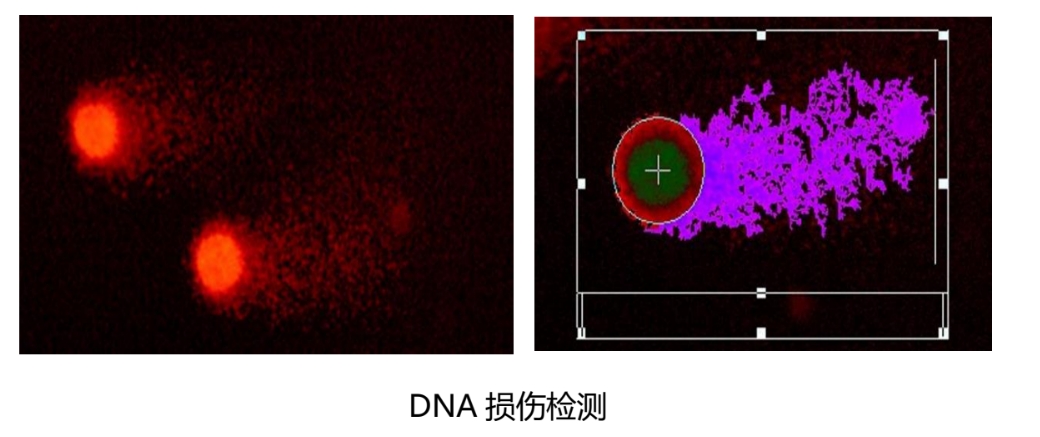 网站