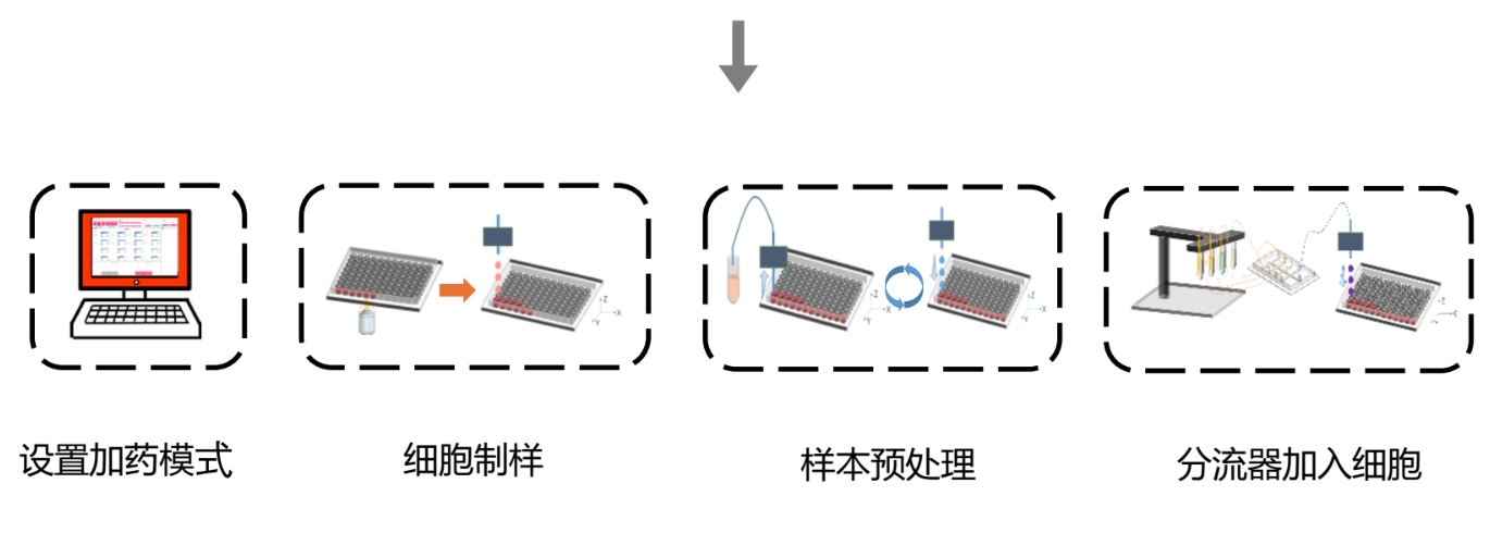 网站