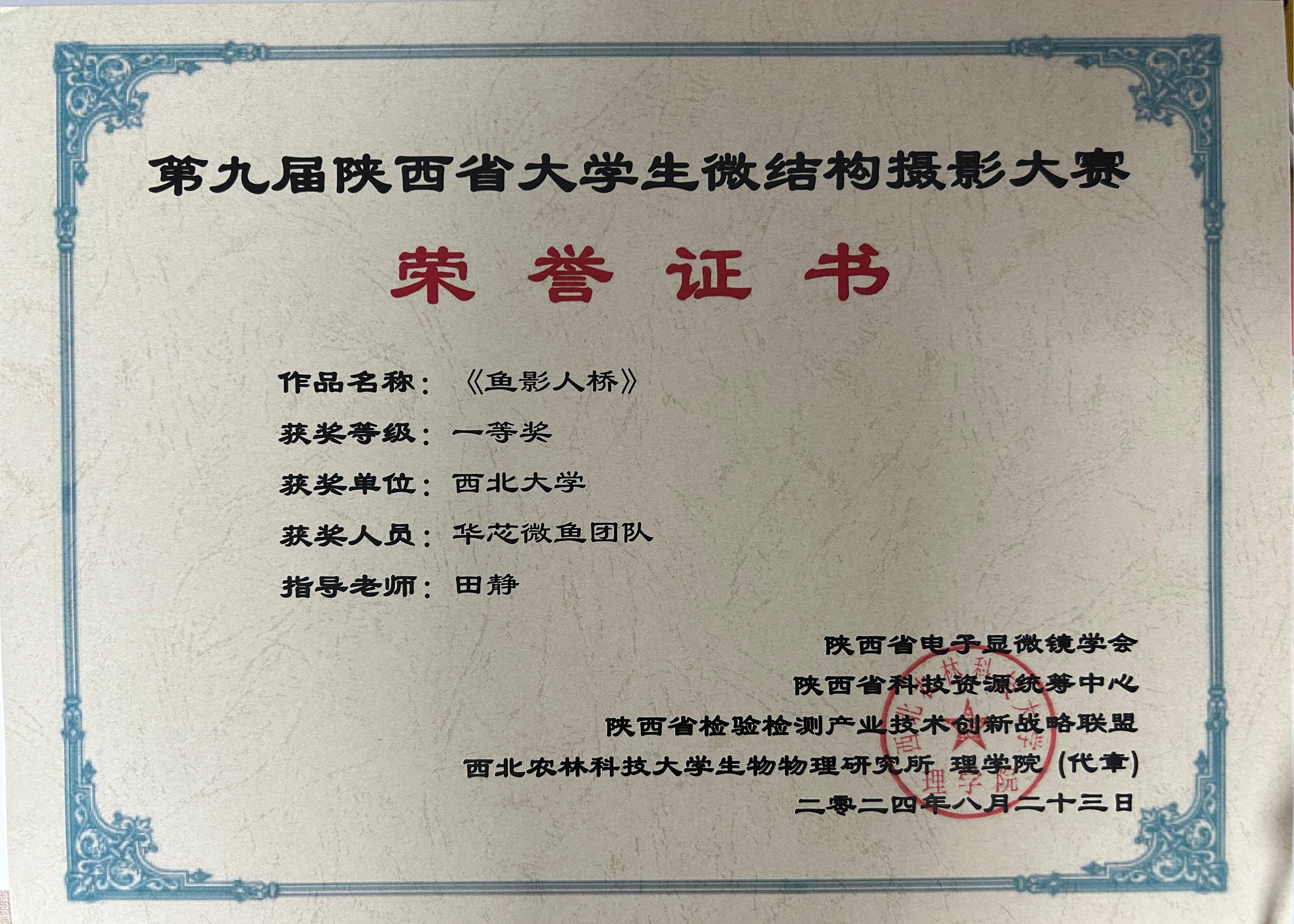 网站 网站