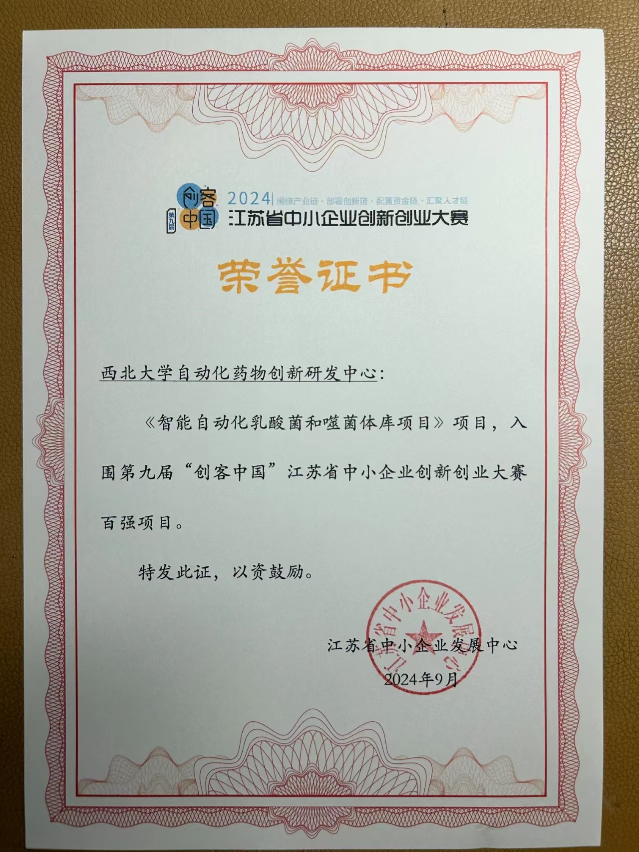 网站 网站