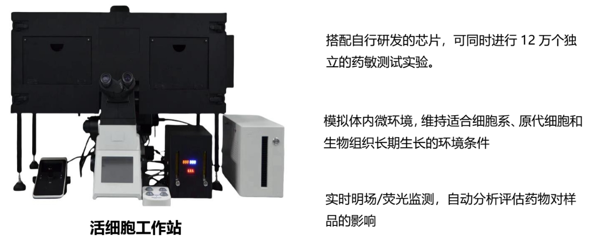 网站