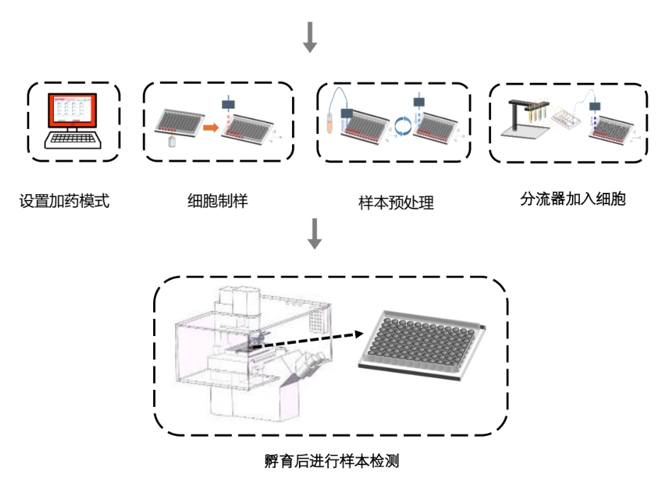 网站